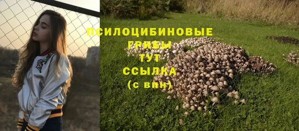 а пвп мука Лихославль