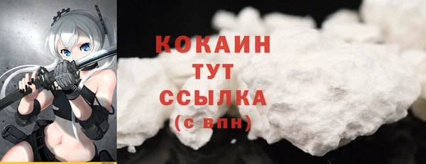 соль ск Вяземский