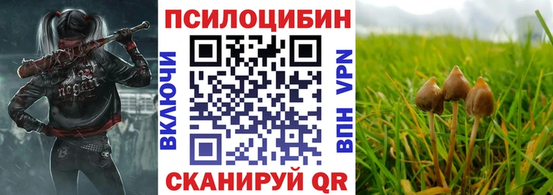 Псилоцибиновые грибы ЛСД  Агрыз 